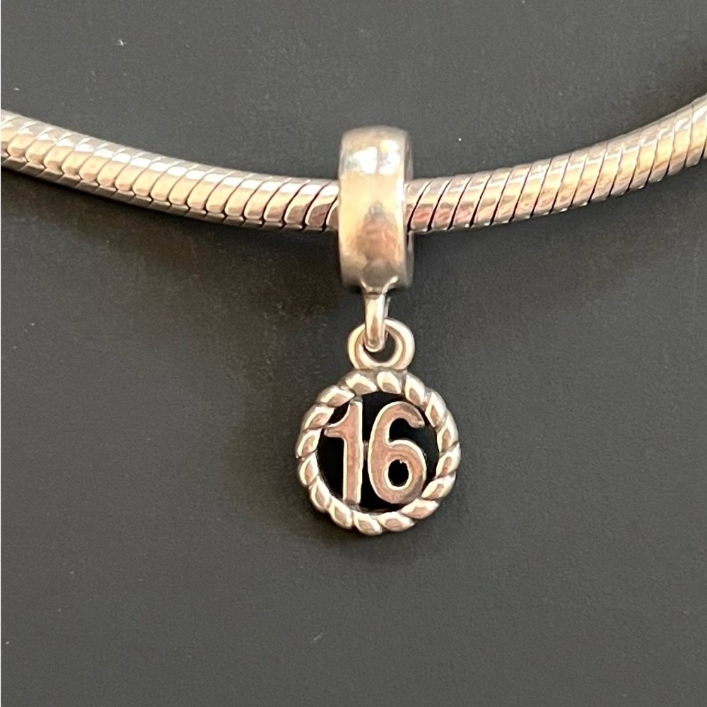 Pandora bracelet charm